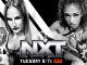 Previa WWE NXT (Noviembre 12, 2024)