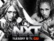 Previa WWE NXT (Noviembre 26, 2024)