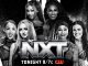 Previa WWE NXT (Diciembre 31, 2024)