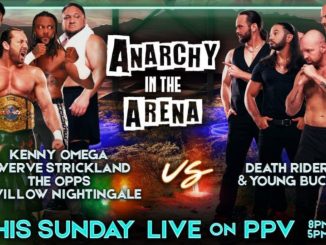 AEW Double or Nothing: Confirmados los participantes de Anarchy in the Arena 2025