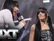 Cobertura y resultados: WWE NXT 11 de noviembre de 2025
