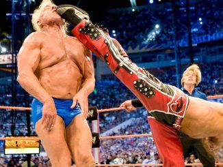 Shawn Michales y las 15 MEJORES patadas en la historia de la WWE